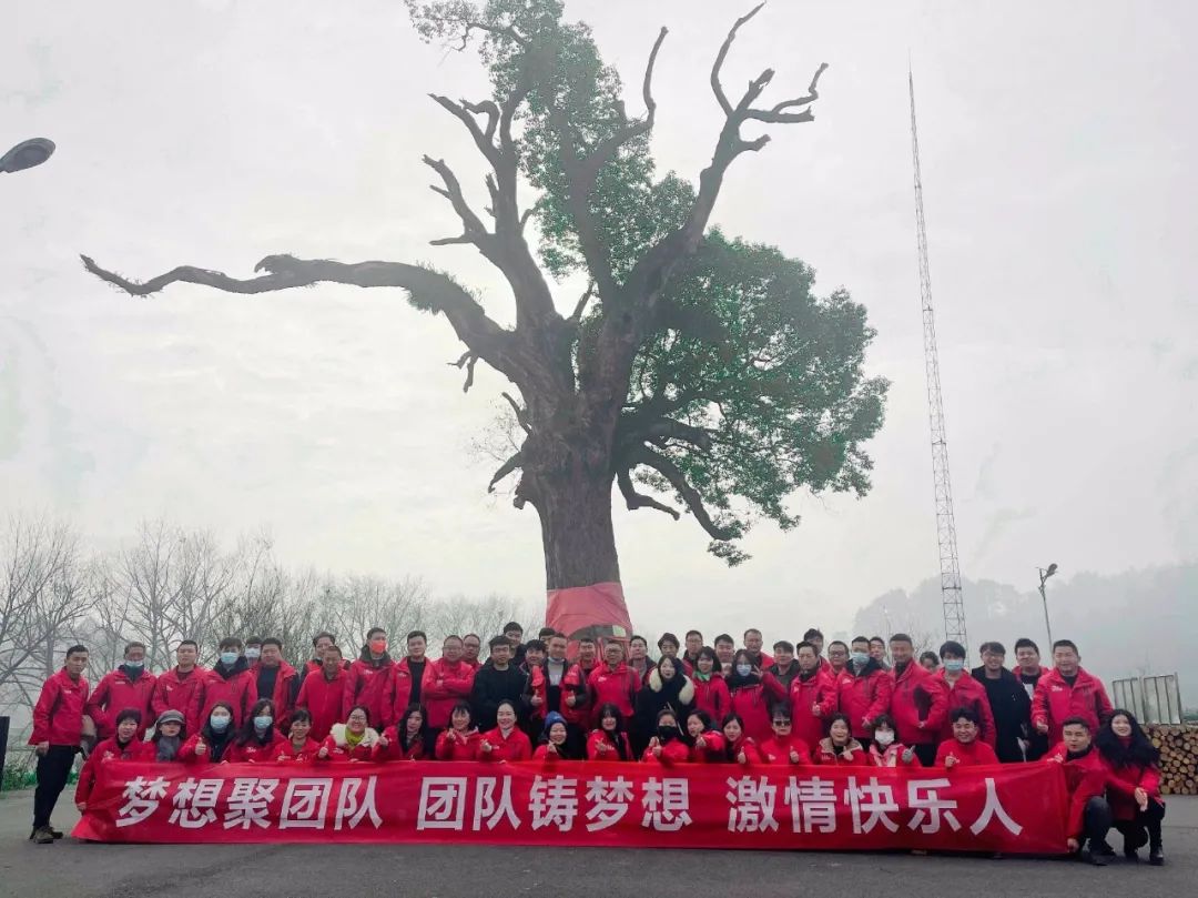 万美装(zhuāng)饰 “ 樟树营 ” 户外团建活动